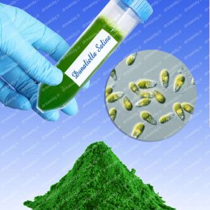 دونالیلا سالینا (Dunaliella salina)