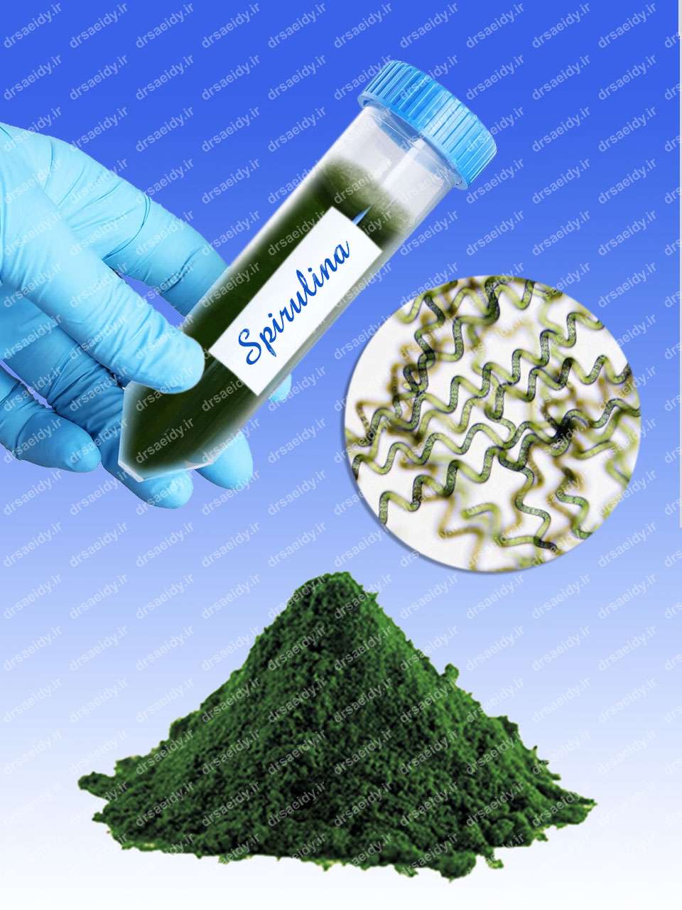 اسپیرولینا (Spirulina)